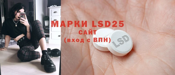 индика Богданович