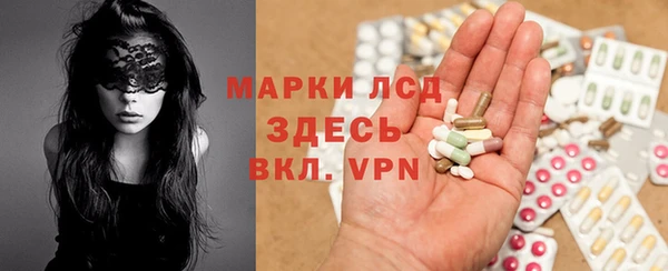 хмурый Белокуриха