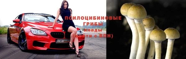apvp Белоозёрский