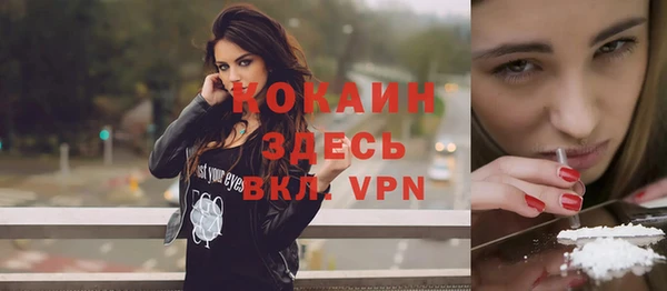 индика Богданович