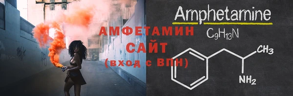 шишки Беломорск