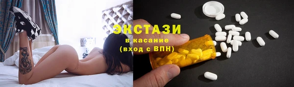 индика Богданович