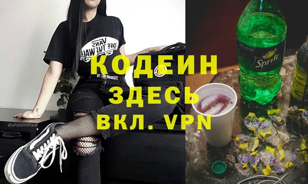 индика Богданович