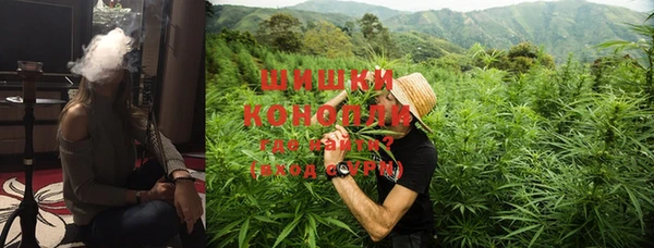 хмурый Белокуриха