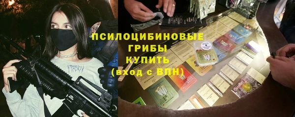 шишки Беломорск