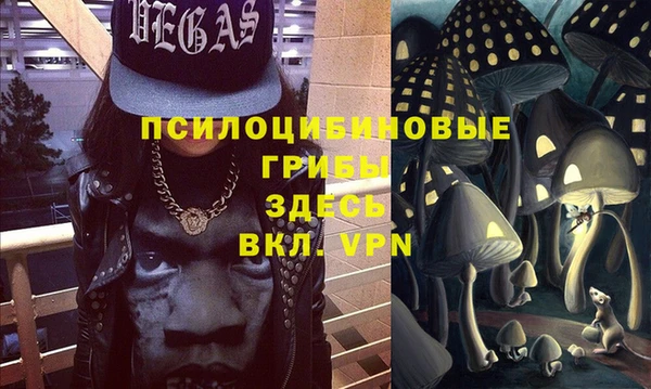мдпв Бронницы