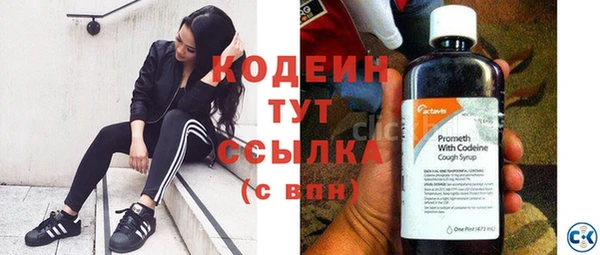 хмурый Белокуриха