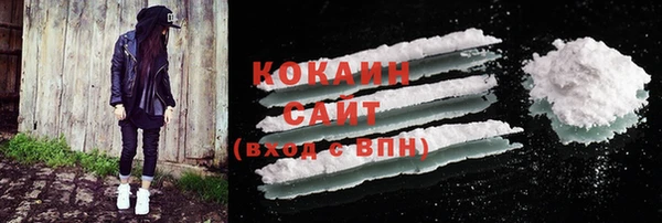 индика Богданович