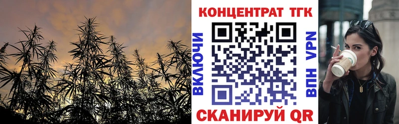 shop как зайти  Верхнеуральск  ТГК концентрат 